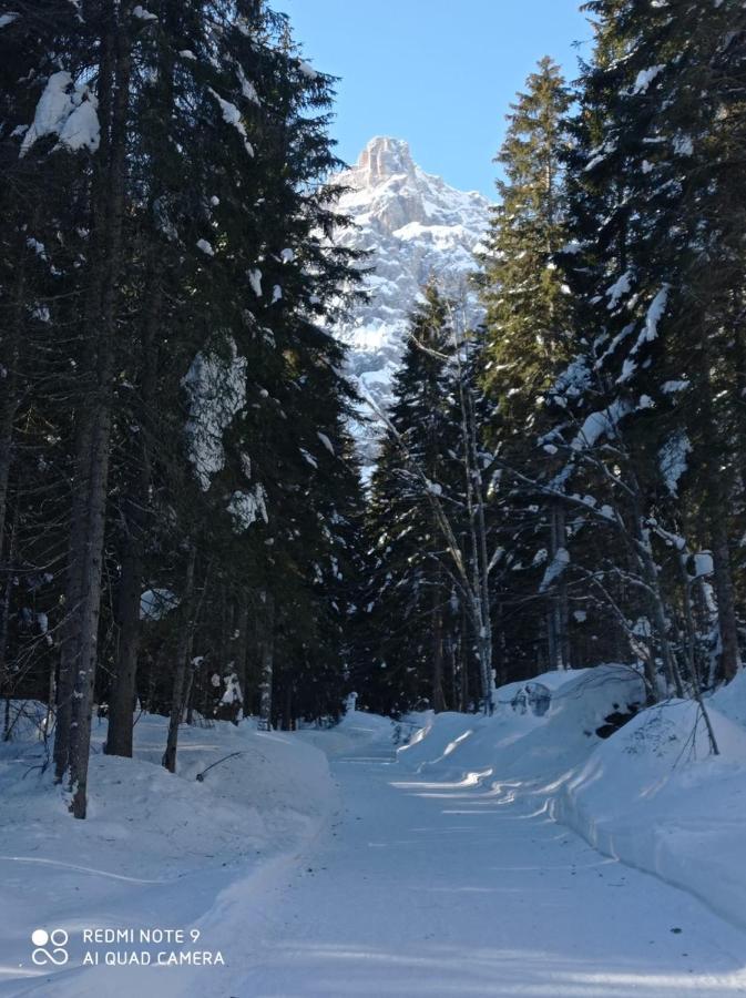 Affittacamere Da Annare Candide Buitenkant foto